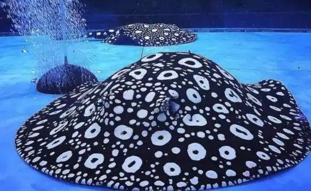 回顾:海洋中究竟谁才是魔鬼鱼?蝠鲼,鳐鱼,魟鱼傻傻分不清楚