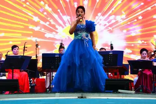 "放飞梦想" 呼兰区群众艺术馆聚友民乐团哈夏专场文艺演出(2019.07.