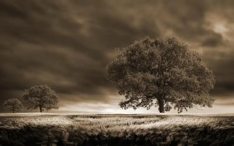 【风景壁纸-2】【1920x1080】[30p]