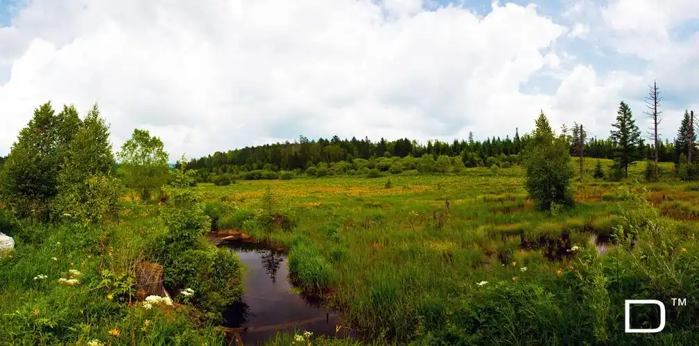 标题:自游长白山天池,高山花园