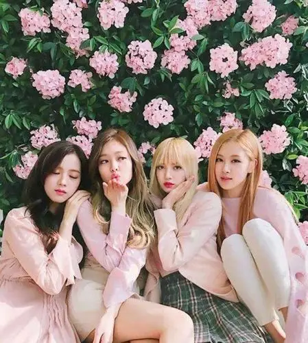 blackpink新曲神洗脑成员风格依旧没变