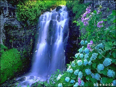 亮唯美的景物动态图 - haihai - zhangfenghai123hai的博客