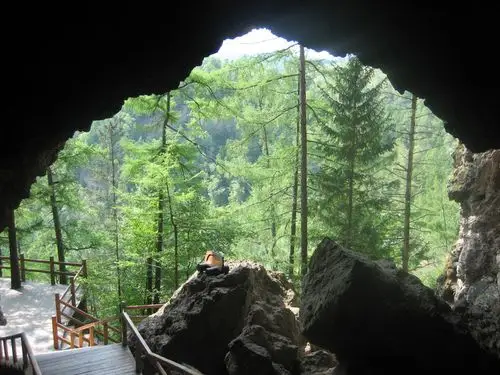 游记--镜泊湖地下森林公园