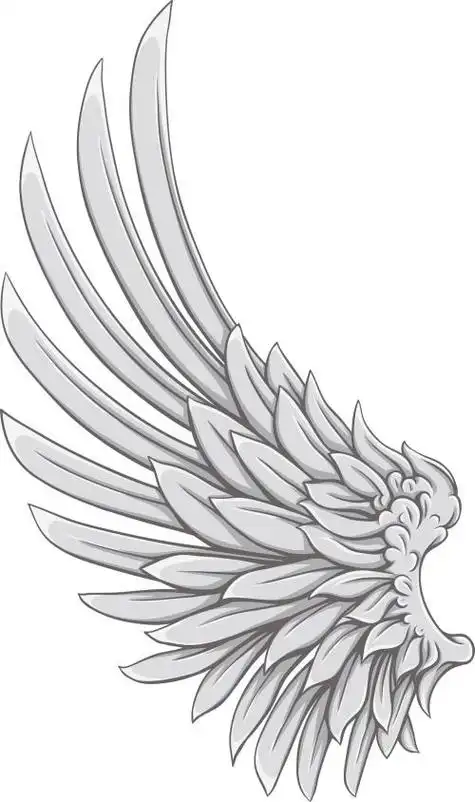 翅膀简笔画图片大全翅膀简笔画图片大全小天使