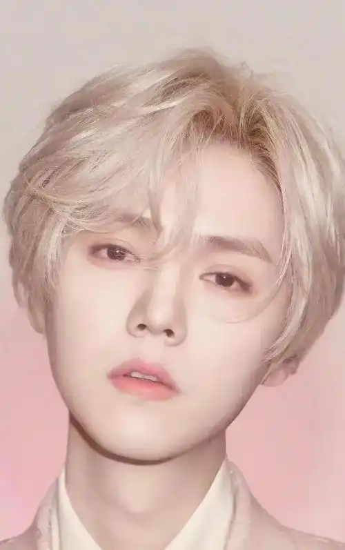 应援口号:春风十里 不如一鹿有你应援色:黄色粉丝名:鹿饭国籍:中国