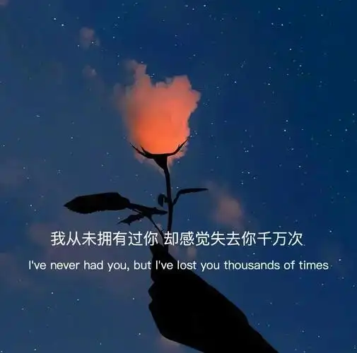 抖音热门个性文字背景图