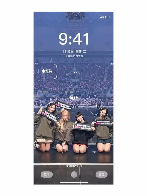 blackpink巡演大合唱壁纸