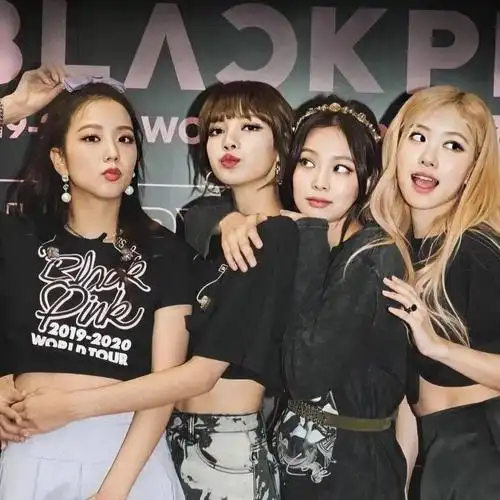 苦等一年的blackpink新单就给我看这