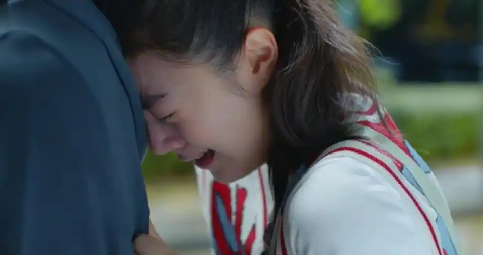 少年派2什么时候上映 少年派第二季全集免费观看完整版-诚智百科网