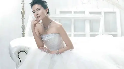 高圆圆模特演员气质美女明星明星风尚壁纸6