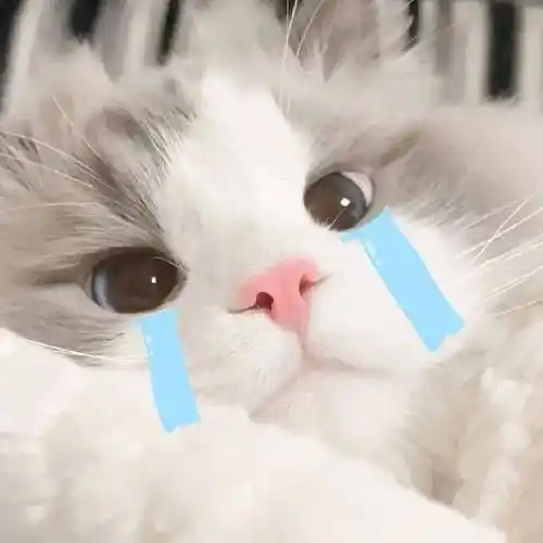 超可爱表情包动图:我的悲伤又那么大_熊猫头_白日_人生