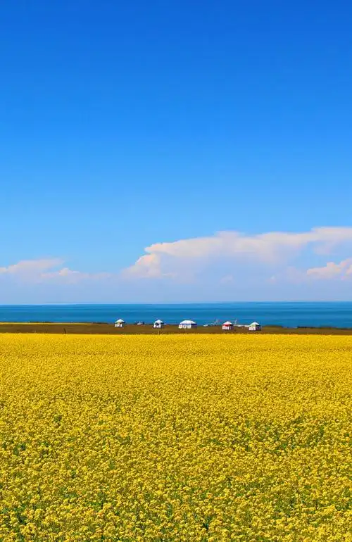 请您参加摄影展……努力工作,是为了更美好的生活