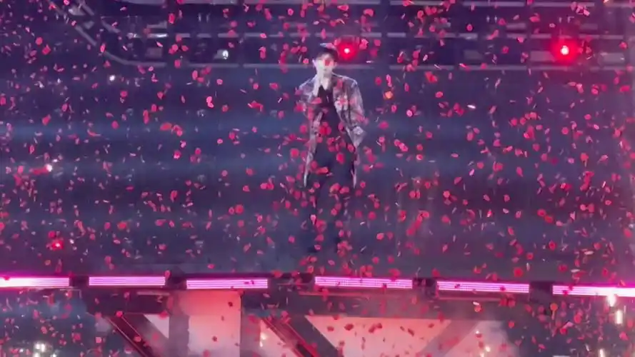 『易烊千玺』23岁的玫瑰花瓣雨!