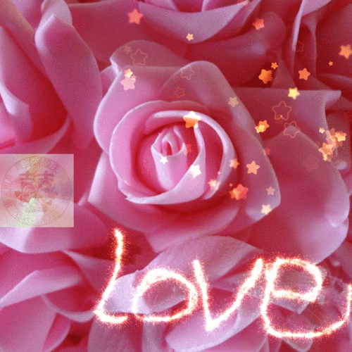 超值婚庆用品批发婚房布置玫瑰花球欧式婚礼水晶拉花纱幔多套装