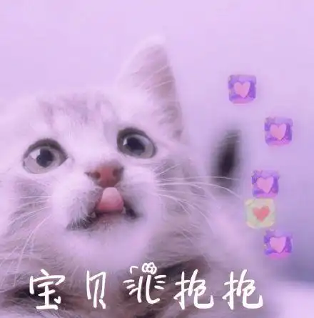 宝贝儿抱抱(猫咪) - 近期斗图表情包精选-2018/11/7_斗图表情