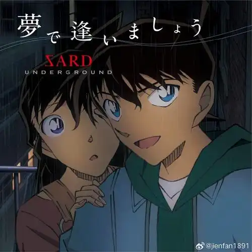 名侦探柯南##新兰