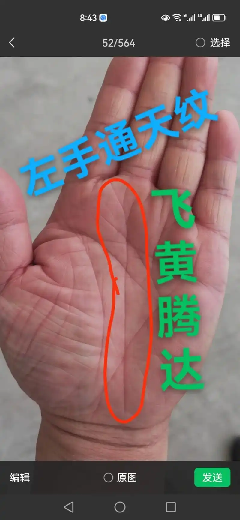 掌纹的秘密 #旺夫女人 - 抖音