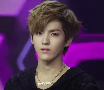 2012年,吴亦凡随着exo-m一起在《快乐大本营》亮相,凭借帅气的颜值