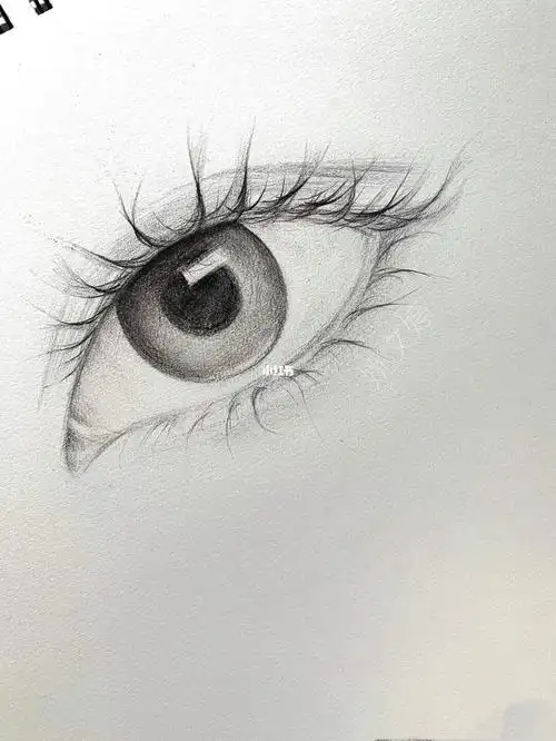 素描眼睛