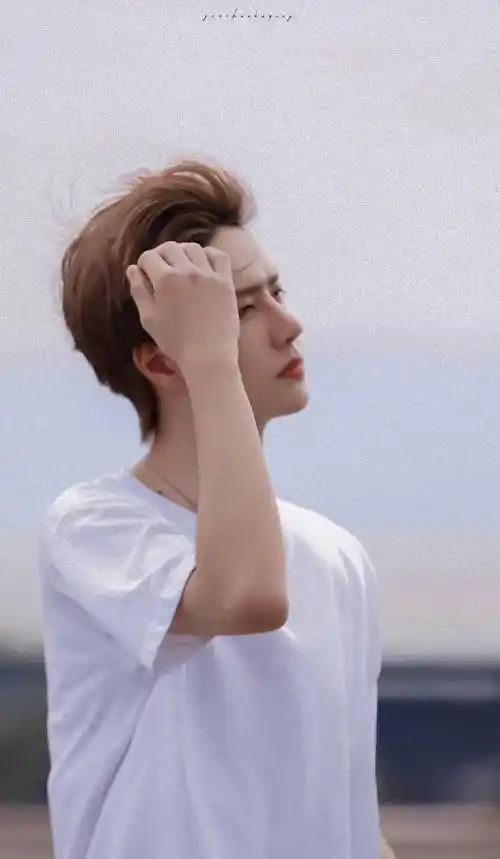 《有翡》还没开播,谢允的画像已经出来了看到粉丝给肖战王一博p的合影