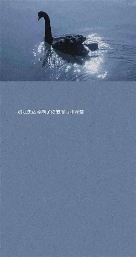 2020唯美高级感带字壁纸 有意境带字壁纸合集_qq壁纸_qq业务乐园