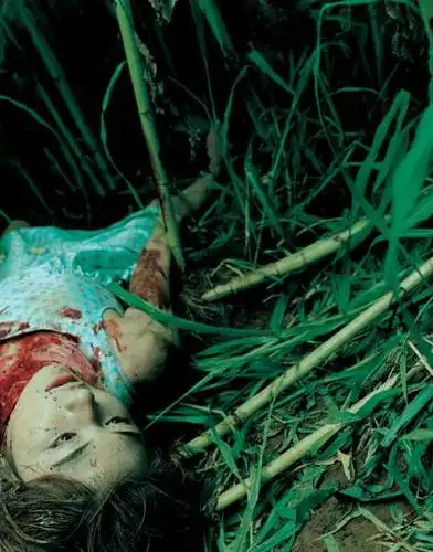 转死亡可以如此唯美