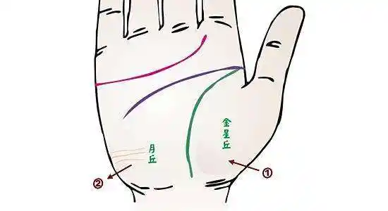 看手上这几个地方,就能看出一个女人是否桃花很旺,很受异性欢迎