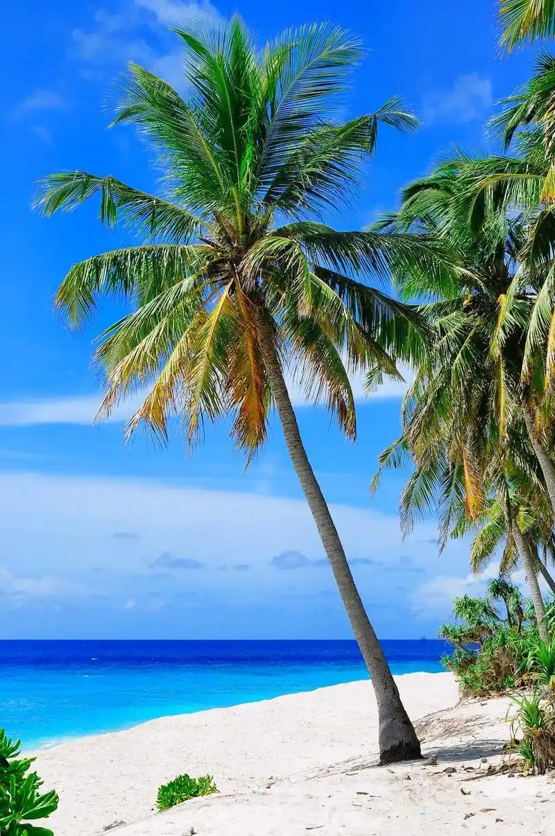 海滩·日落·壁纸·风景.人间骄阳无限好 落日余晖映眼帘 日暮 - 抖音