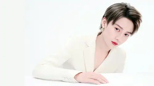 刘雨昕电脑壁纸来了持更接投稿