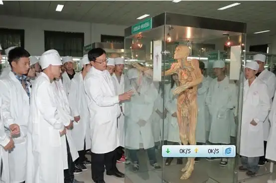 医护实验中心老师在给医学院新生做人体标本介绍