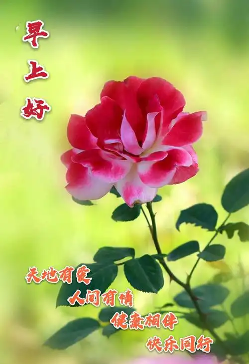 新的一天早上好!