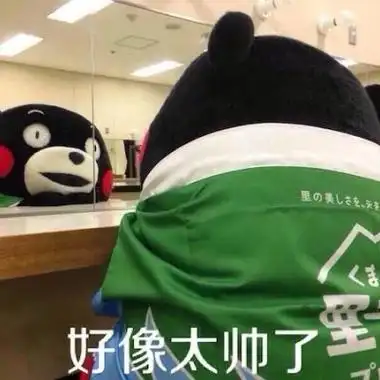 熊本熊搞笑呆萌带字头像最新