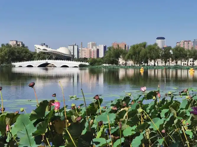 朝阳公园景色一览