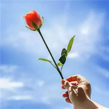 2023最新唯美小清新风景头像_风景静物头像_我要个性网