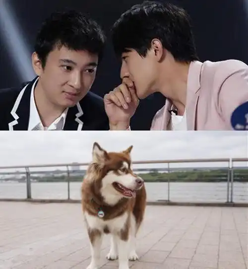 【图】王思聪与王可可是什么关系 两者竟同住一屋檐下