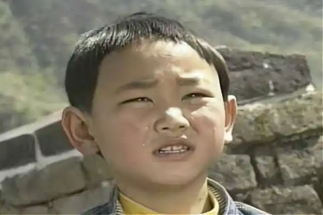 《小龙人》是由寒山,龚艺群,王殷海等执导,陈嘉男,江以桢,陈晨,柳田等