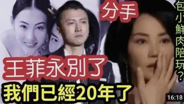 谢霆锋回归单身王菲深夜约会嫩男疑分手谢霆锋还是张柏芝好