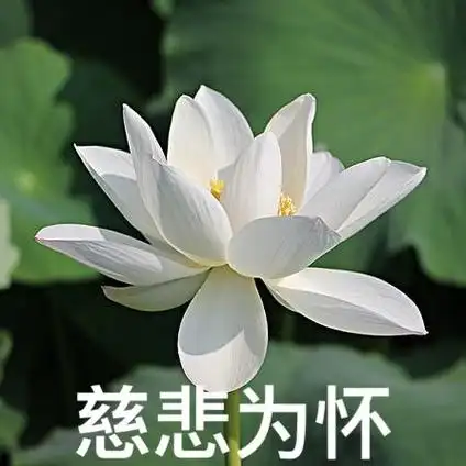 佛系的一天从转发莲花最先!