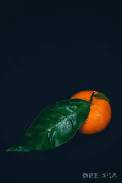 带绿色叶子的黑葡萄酒背景的成熟橘子