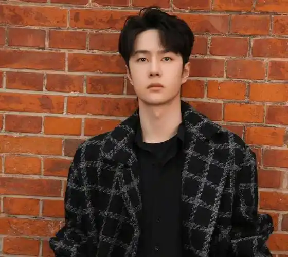 王一博,宋轶,汪小菲,程毅,李沁_成毅_合作_基本