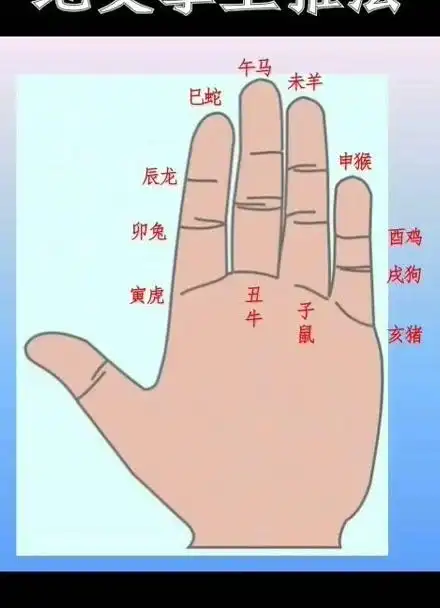 手掌十二地支