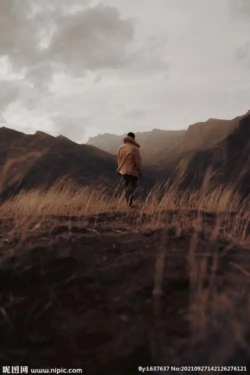 草地孤独的背影