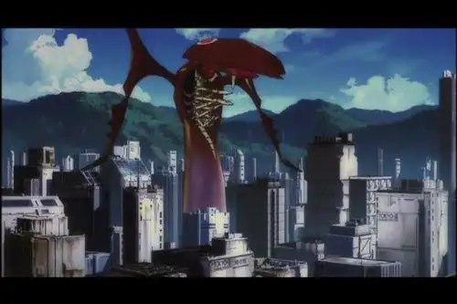 eva(新世纪福音战士)中17个使徒的介绍._网易订阅