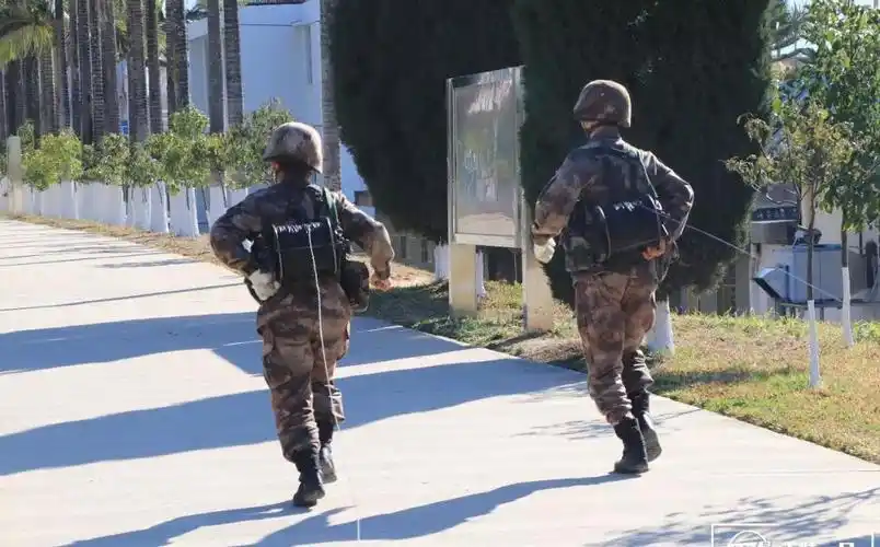 首长的耳目,军队的神经——带你走进陆军通信兵