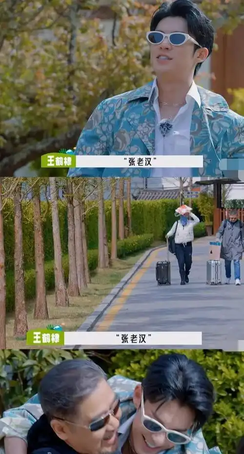 伟霆爸爸|黄磊|张子枫|张国立|粤语歌曲|华语音乐|华语歌手_网易订阅