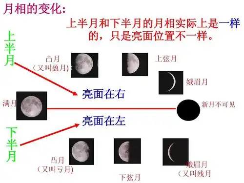 月相变化_课件 3ppt