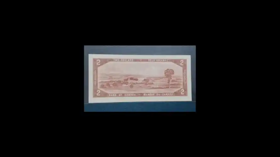 加拿大元南斯拉夫第纳尔人民币欧元和其他国家纸币收藏