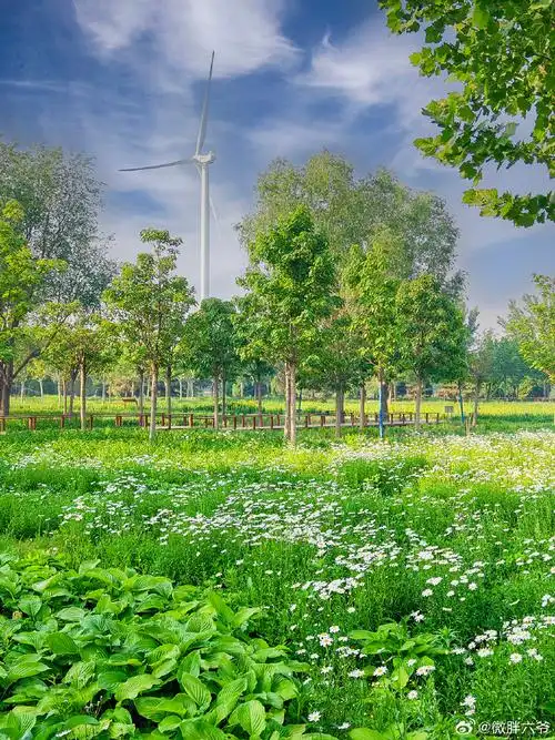 微博旅行家##巡游北京##带着微博去旅行