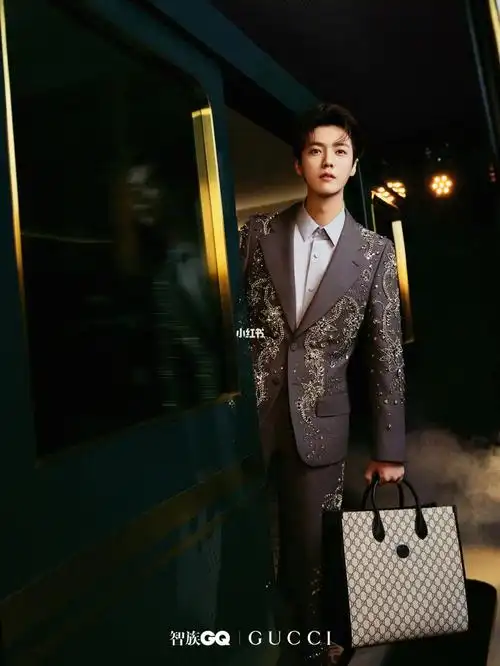 99歌手,演员及品牌代言人#鹿晗  与gucci互扣式双g托特包一同摩登
