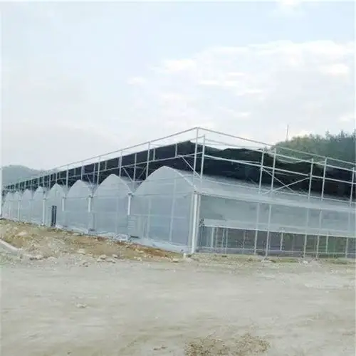 连体连栋大棚温室 新型式钢结构大棚温室承接建筑商 联系旭航